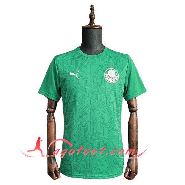 Training T-Shirt Palmeiras Vert 2025/2026