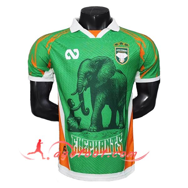 Maillot Equipe Foot Côte d'Ivoire Special Edition Vert 2025/2026