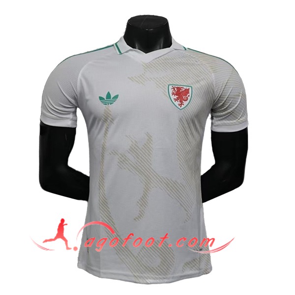 Maillot Equipe Foot Pays de Galles Exterieur 2026/2027
