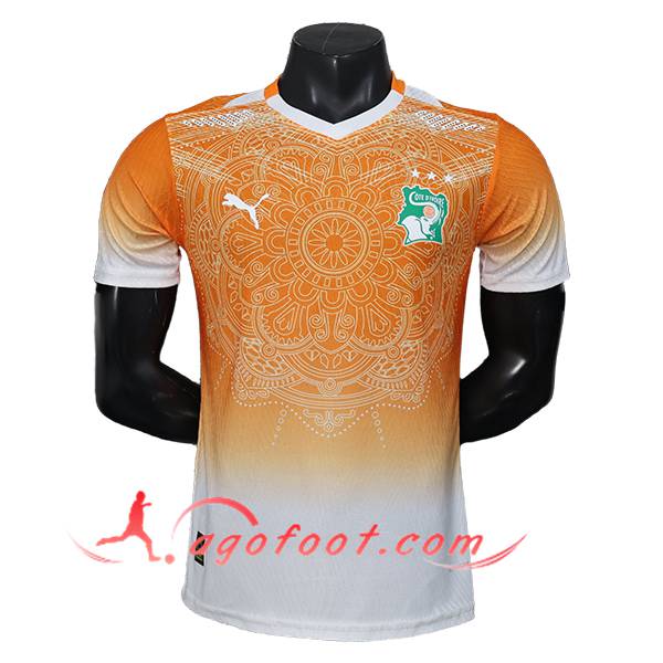 Maillot Equipe Foot Côte d'Ivoire Special Edition Orange 2026/2027