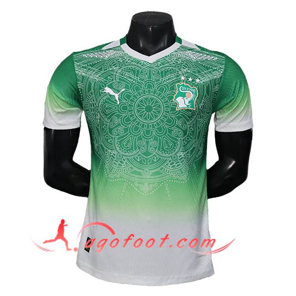 Maillot Equipe Foot Côte d'Ivoire Special Edition Vert 2026/2027