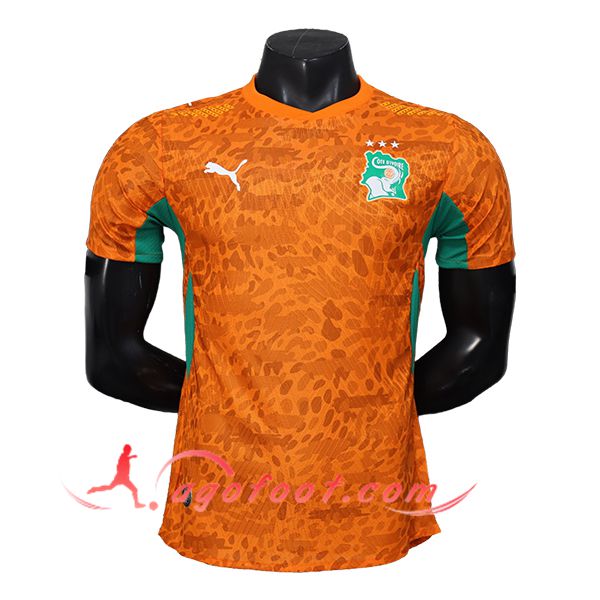 Maillot Equipe Foot Côte d'Ivoire Domicile Coupe Du Monde 2026
