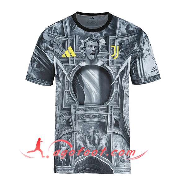 Maillot de Foot Juventus Special Edition Gris 2025/2026