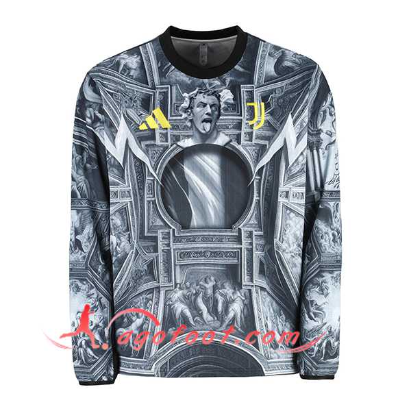 Maillot de Foot Juventus Manches Longues Special Edition Gris 2025/2026