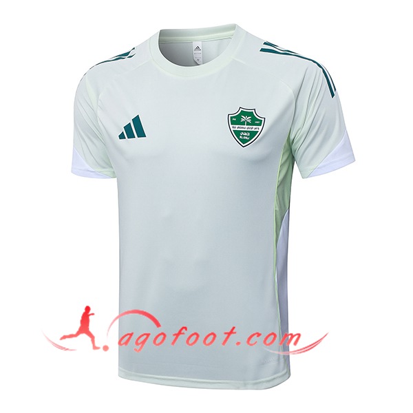 Training T-Shirt Al-Ahli Vert 2025/2026