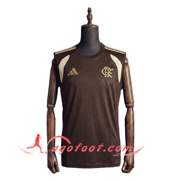 Training Debardeurs Flamengo Brun/Beige 2025/2026