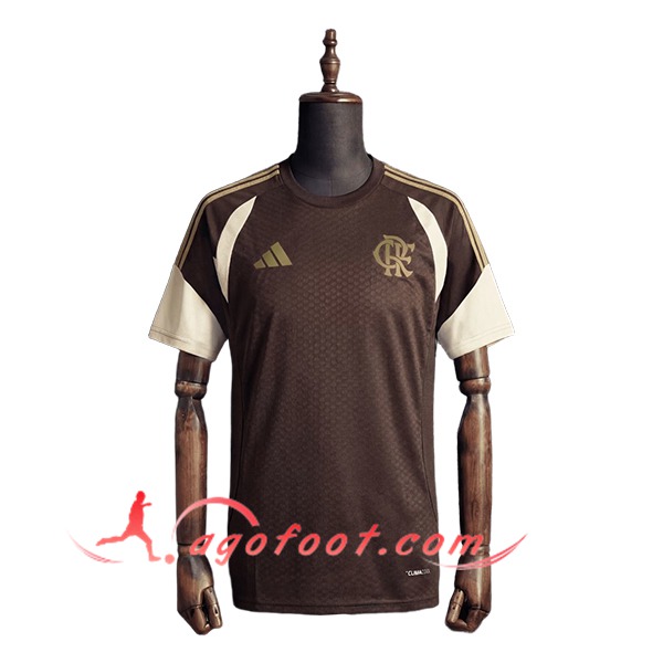 Training T-Shirt Flamengo Brun/Beige 2025/2026