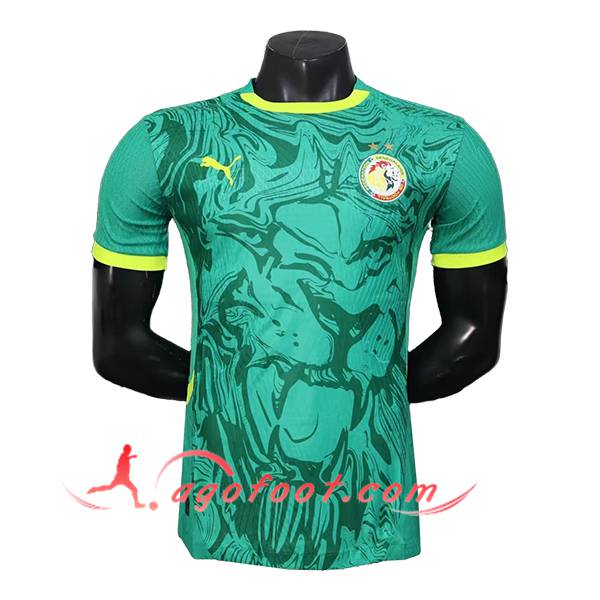 Maillot Equipe Foot Sénégal Special Edition Vert 2026/2027