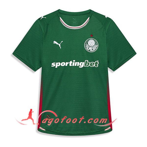 Nouveau Maillot de Foot Palmeiras Domicile 2026/2027