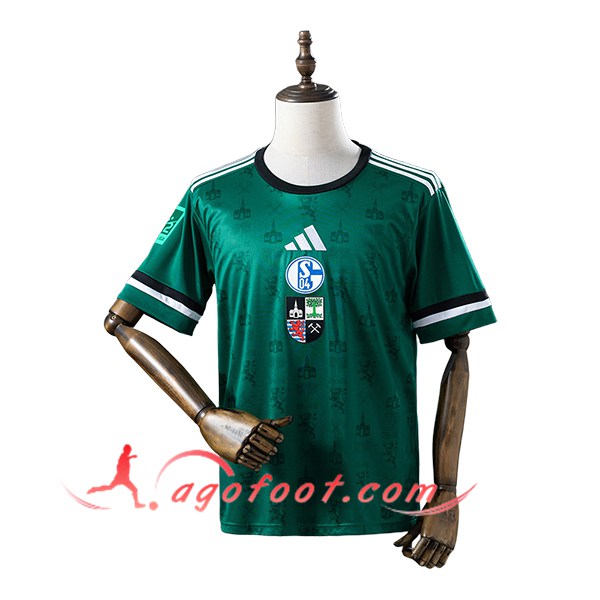 Maillot de Foot Schalke 04 Special Edition Vert 2025/2026