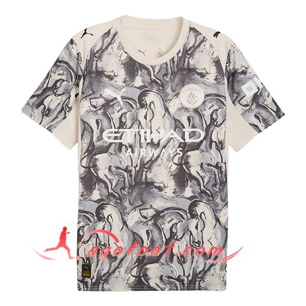 Maillot de Foot Manchester City Special Edition Gris 2025/2026