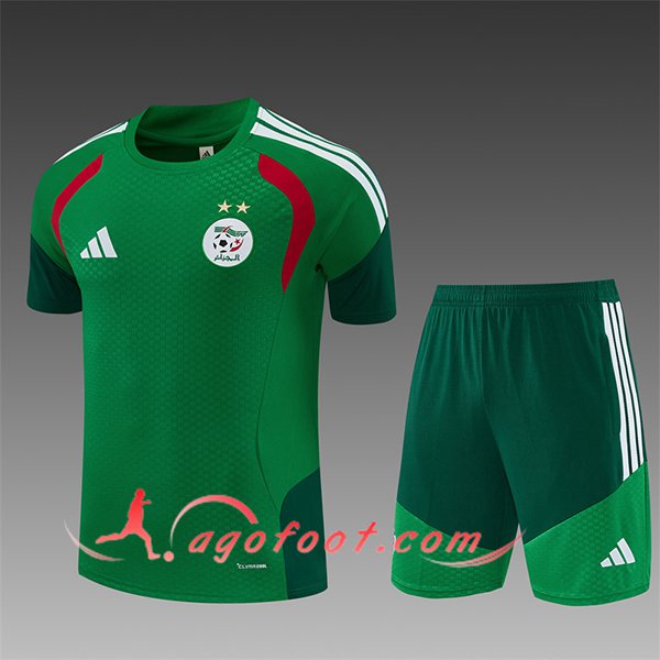 Ensemble Training T-Shirt Algeria Enfant Vert/Blanc/Rouge 2026/2027