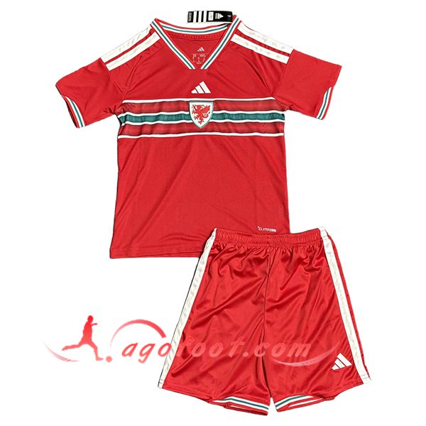 Maillot de Foot Pays de Galles Enfant Homme 2026/2027