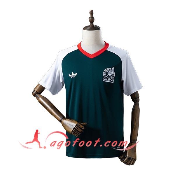 Training T-Shirt Mexique Vert/Blanc 2026/2027