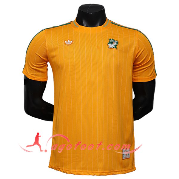 Maillot Equipe Foot Côte d'Ivoire Special Edition Orange 2026/2027