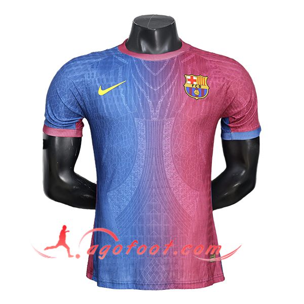 Maillot de Foot FC Barcelone Special Edition Rouge/Bleu 2026/2027