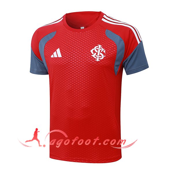 Training T-Shirt Internacional Rouge/Gris 2026/2027