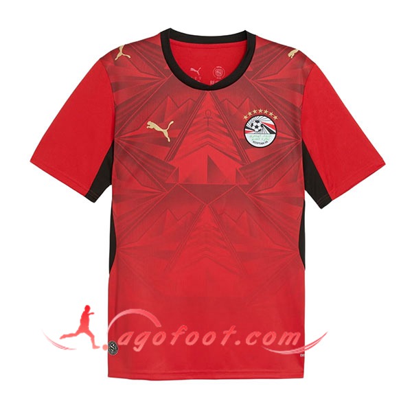 Nouveau Maillot Equipe Foot Egypte Domicile Coupe Du Monde 2026