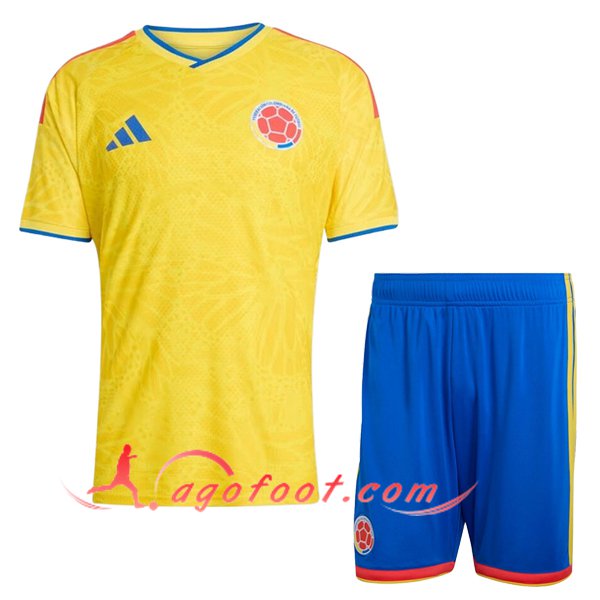 Nouveau Maillot Equipe Foot Colombie Enfant Domicile Coupe Du Monde 2026